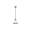 Suspension Amelia 1x100W Bronze foncé HINKLEY hkameliapmkz