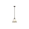 Suspension Amelia 1x100W Bronze foncé HINKLEY hkameliapmkz