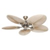 Ventilateur Plafond Caribbean Dream Eco II 137cm Laiton Palme Naturelle CASAFAN 513720