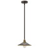 Suspension Rigby 1x100W Bronze foncé HINKLEY hkrigbyp