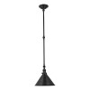 Suspension Provence Bronze 1x60W E27 ELSTEAD LIGHTING PV-GWP OB