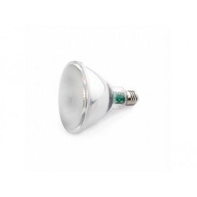 Ampoule LED E27 PAR30 10w FARO 17404