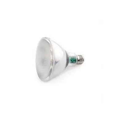 Ampoule LED E27 PAR30 10w FARO 17404
