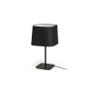 Lampe Perth 1x15W E27 Noir RENDL R13664