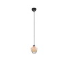 Suspension Borka 1x40W E27 Finition Naturelle 17cm TRIO LIGHTING R31261036