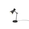 Lampe Enzo 1x10W E27 Noir Mat TRIO LIGHTING R50781032