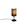 Lampe Ole 1x25W E27 Noir Mat TRIO LIGHTING R51061032