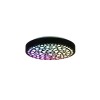 Plafonnier Chizu 1x22W SMD LED Noir Mat TRIO LIGHTING R67161132