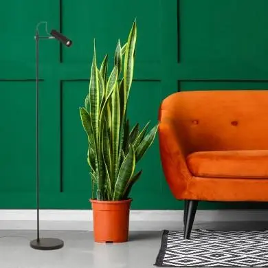 Lampadaire Varia 1x9W GU10 Noir Laiton RENDL R13660