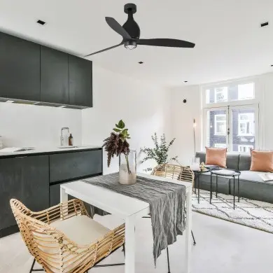 Ventilateur Plafond Mini Eterfan LED 128cm Noir FARO 32030-10