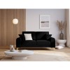 Canapé velours Larnite Noir Pieds Métal Doré 2 Places BOUTICA DESIGN MIC_2S_51_B1_LARNITE12