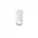 Plafonnier extérieur Olot Blanc 1xGU10 MAX 35W