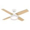 Ventilateur de plafond Dante Blanc Chêne 112cm HUNTER 50629