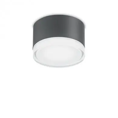Plafonnier URANO PL1 SMALL Anthracite 15W max IDEAL LUX 168111