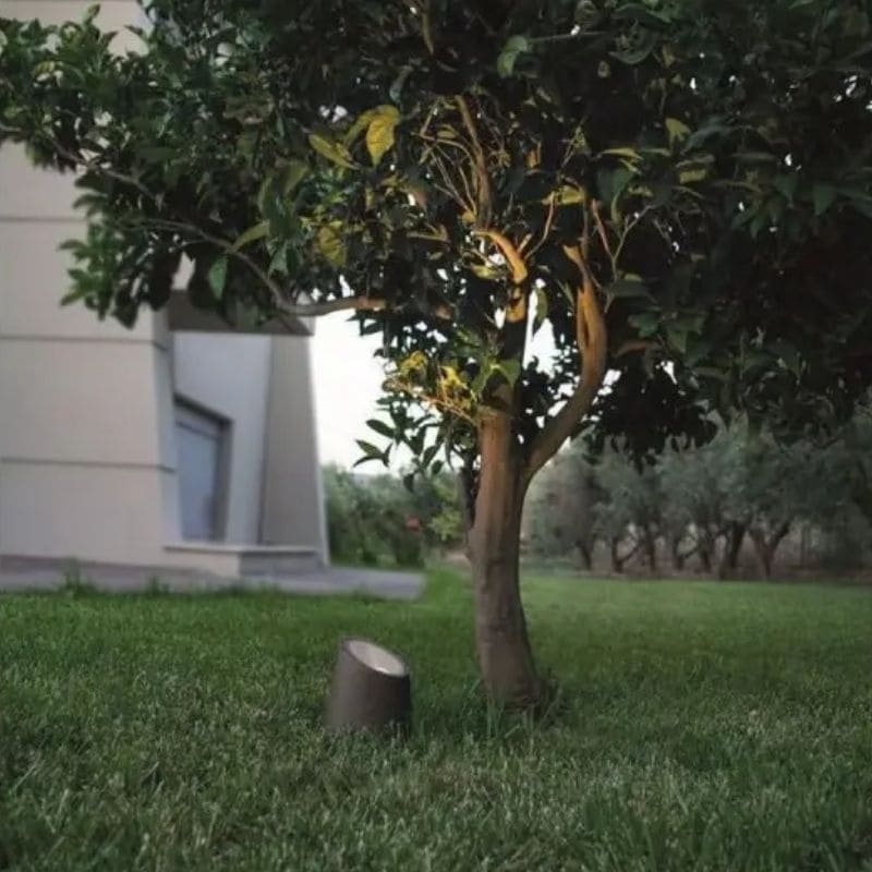 Projecteur extérieur mettant en valeur un arbre et éclairant l'arbre