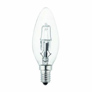 ampoule pour luminaire exterieur