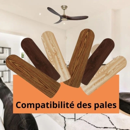 La compatibilité des pales