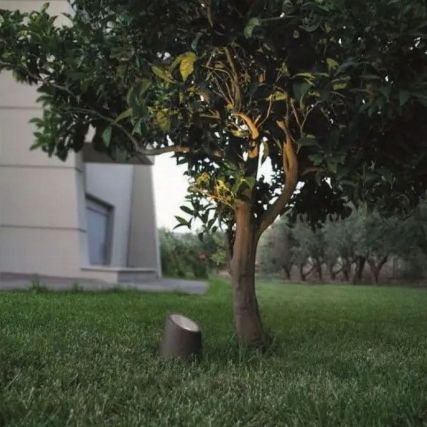 Comment éclairer un arbre ?